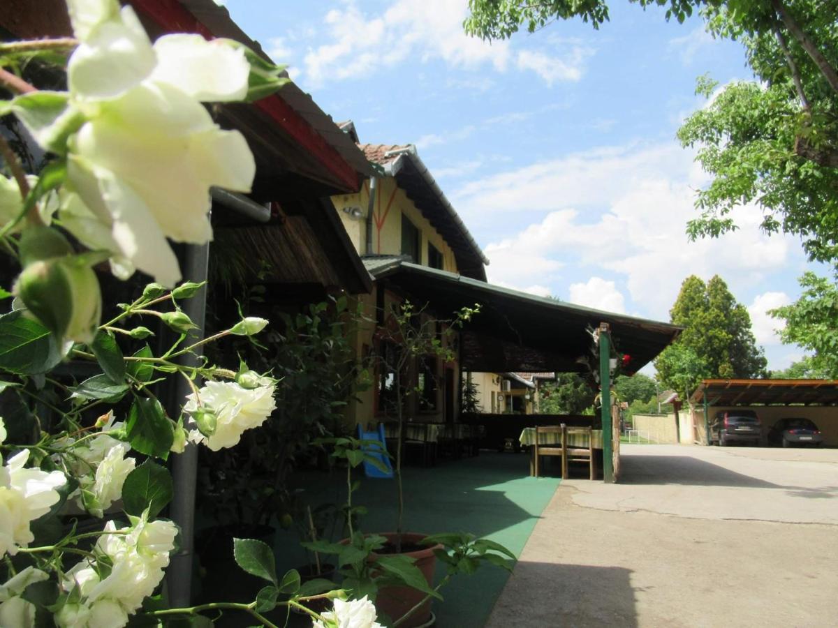 Fogado Hotel Палич Екстериор снимка