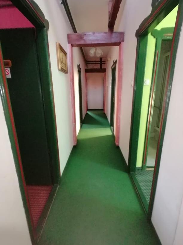 Fogado Hotel Палич Екстериор снимка